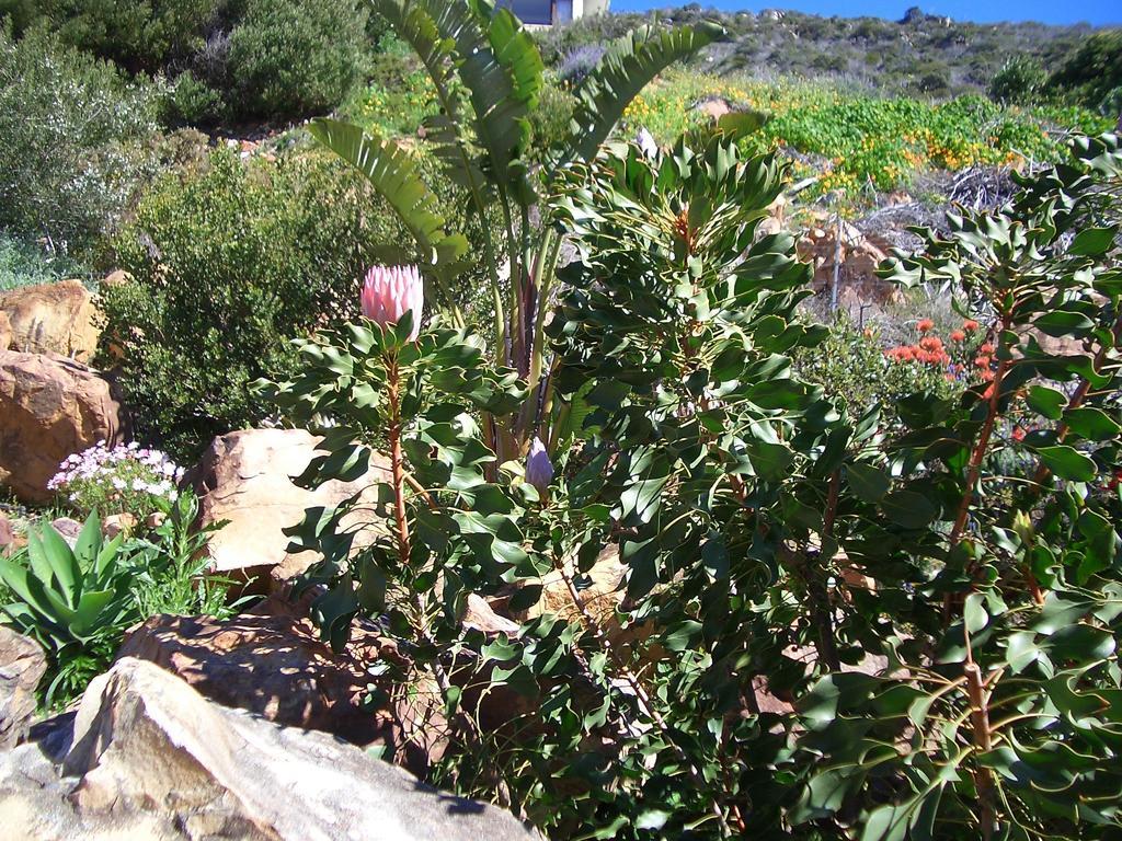 A Place In Thyme Fish Hoek Exteriör bild